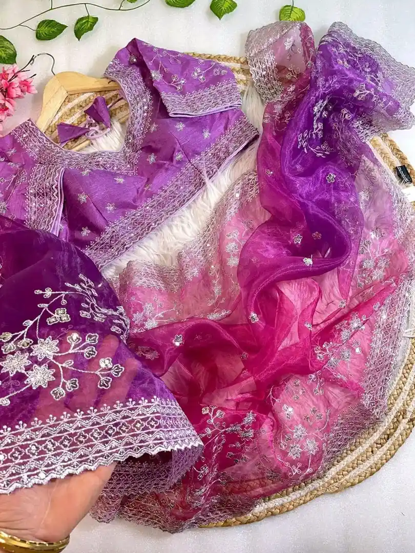 Zimmy choo organza silk saree - Image 3