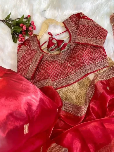 Soft Jimmy choo saree