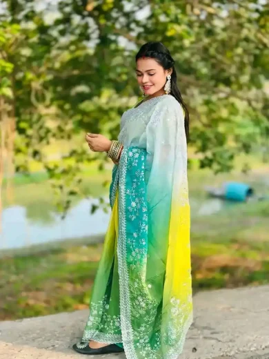 Zimmy choo organza silk saree