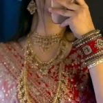 Oranza silk saree
