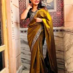 Shaded Fandy Chiffon saree