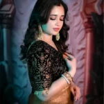 Shaded Fandy Chiffon saree