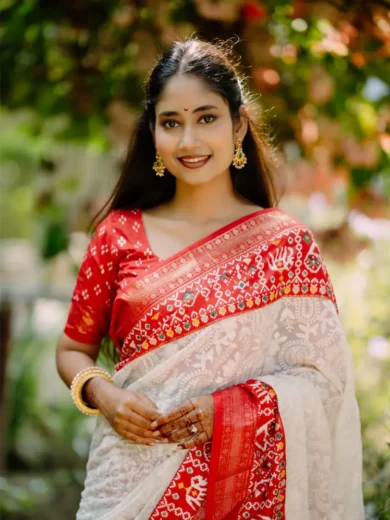 Original lucknavi chikankari embroidery work