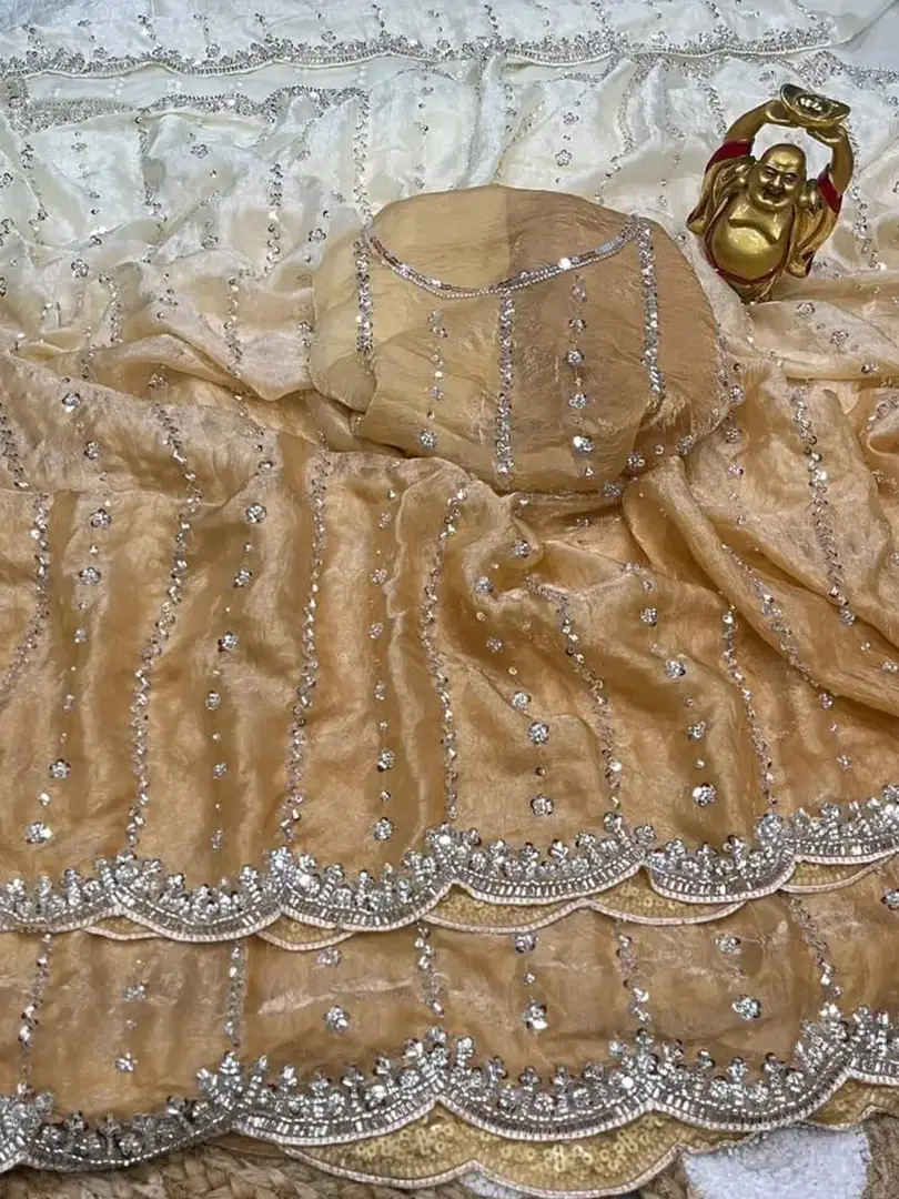 Launch Grand party wear saree - Image 4